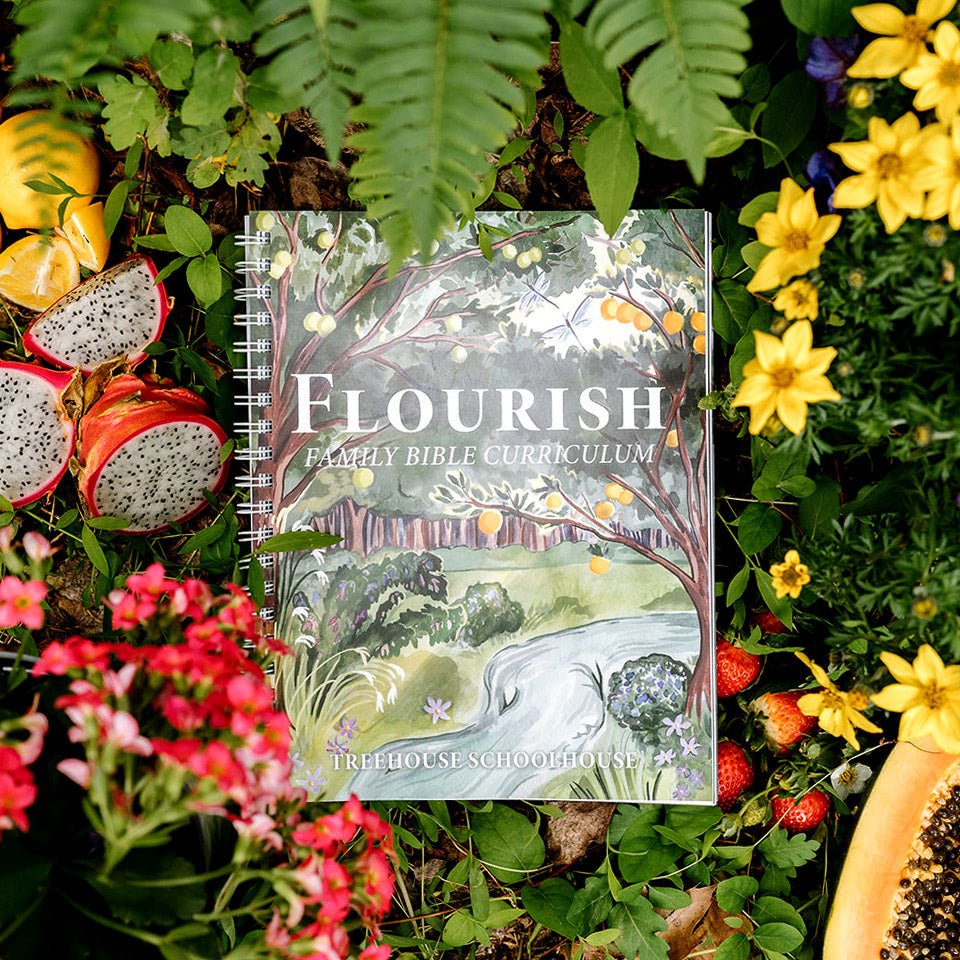 Flourish Family Bible Curriculum