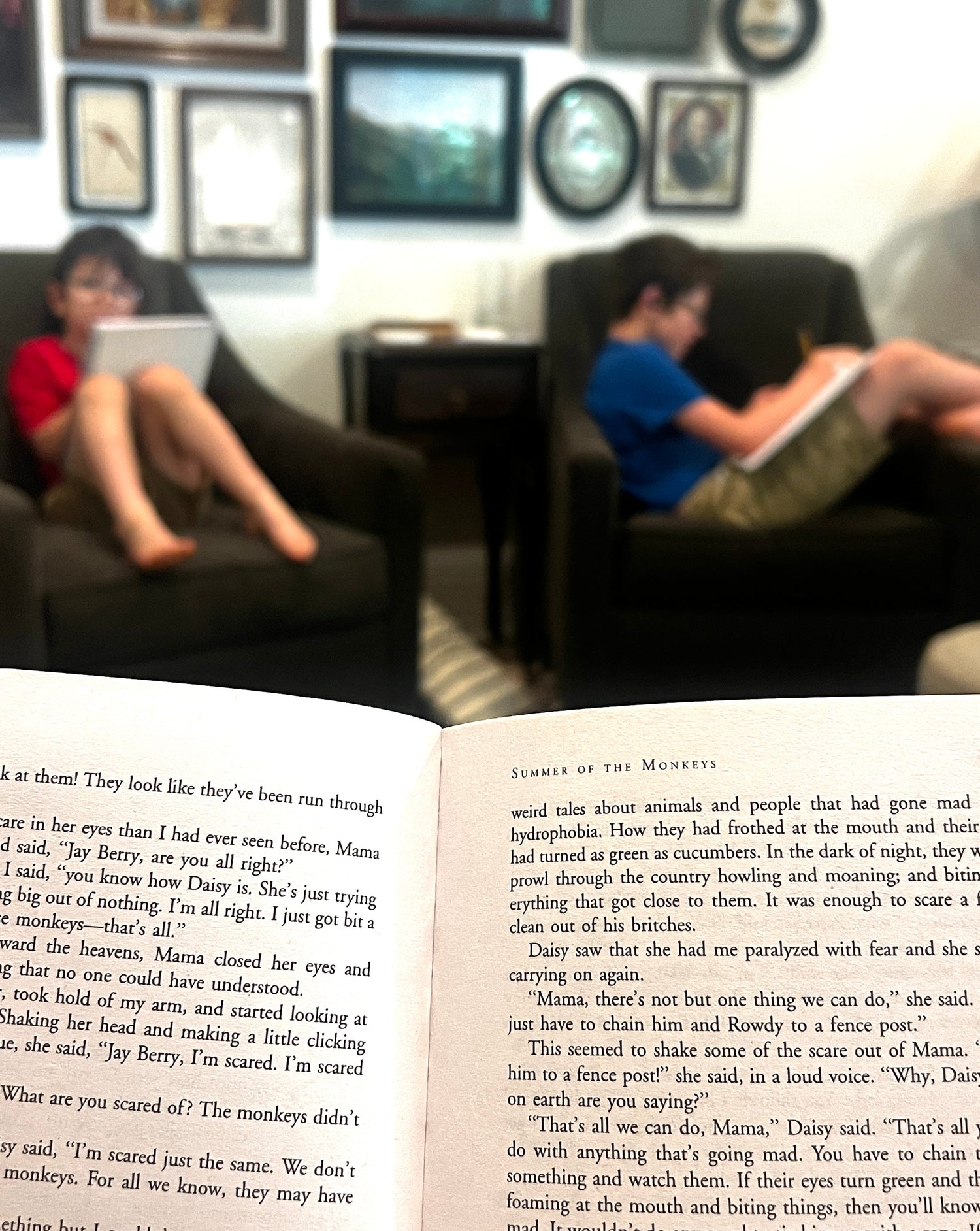 Summer of the Monkeys Book Study