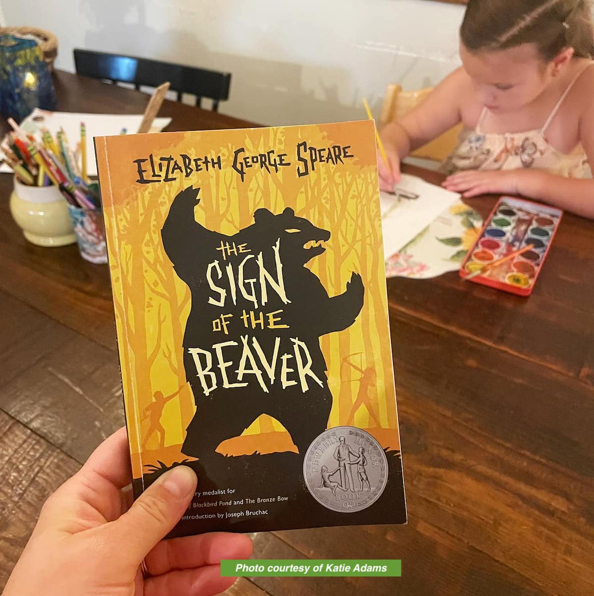 The Sign of the Beaver Book Study