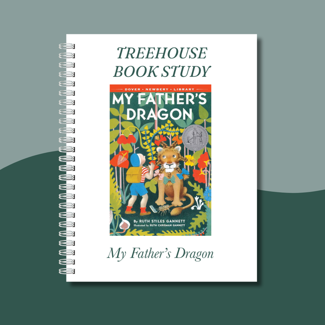 My Father’s Dragon Book Study