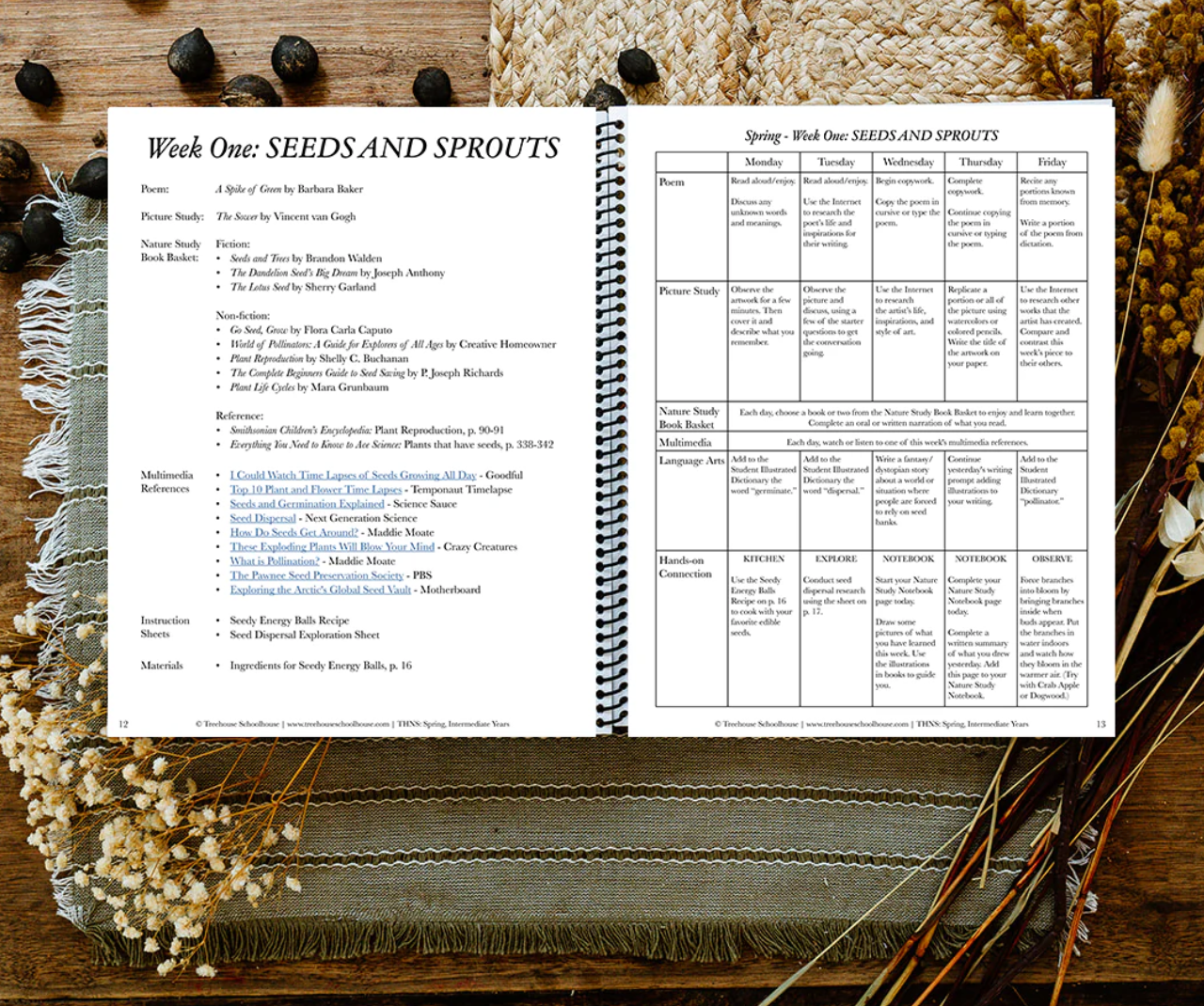 Treehouse Nature Study: Spring, Intermediate Years (Small Group License)