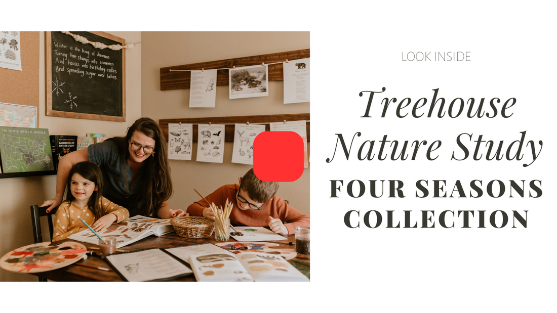 Free Birds of Prey Unit Study – Treehouse Schoolhouse