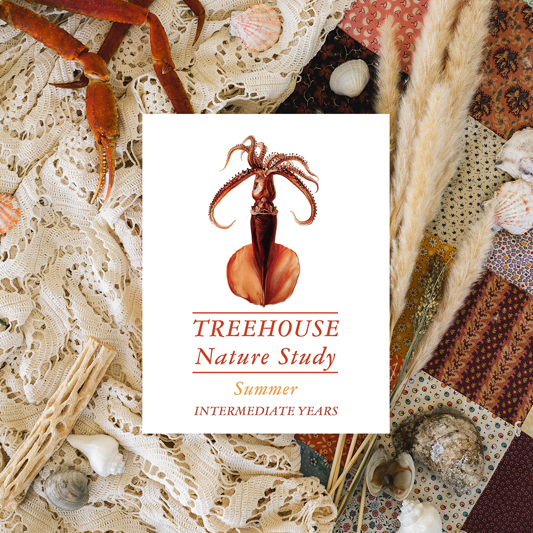 Treehouse Nature Study: Summer, Intermediate Years