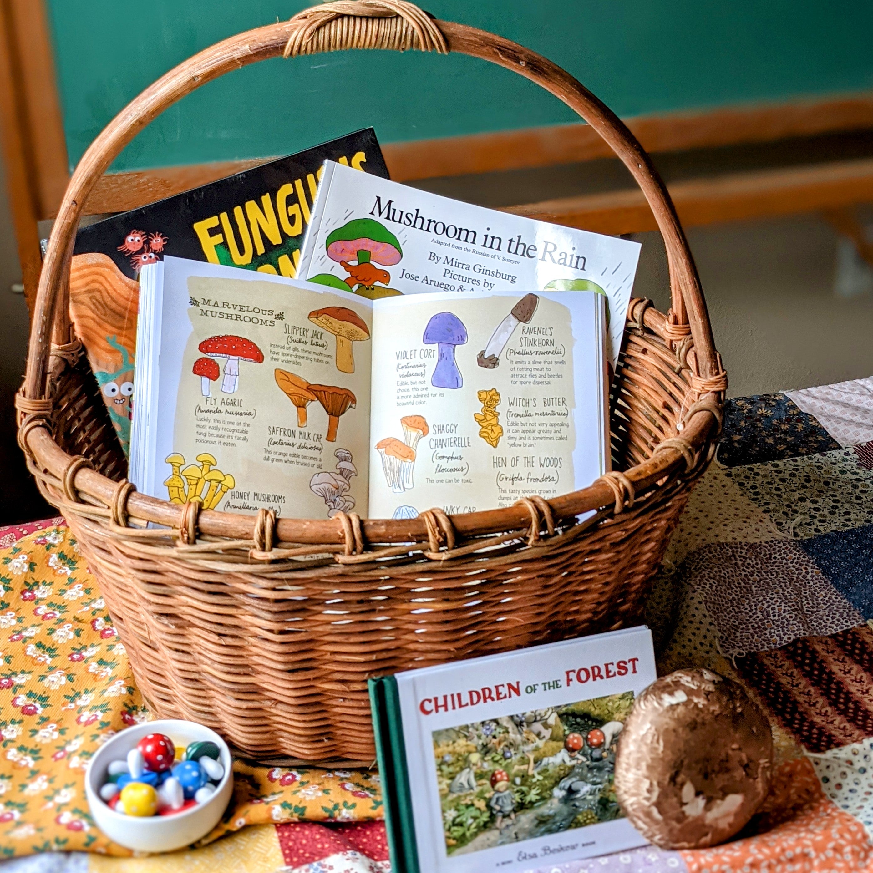 Treehouse Nature Study: Autumn, Primary Years (Small Group License)