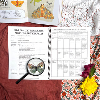 Treehouse Nature Study: Four Seasons Collection – Treehouse Schoolhouse