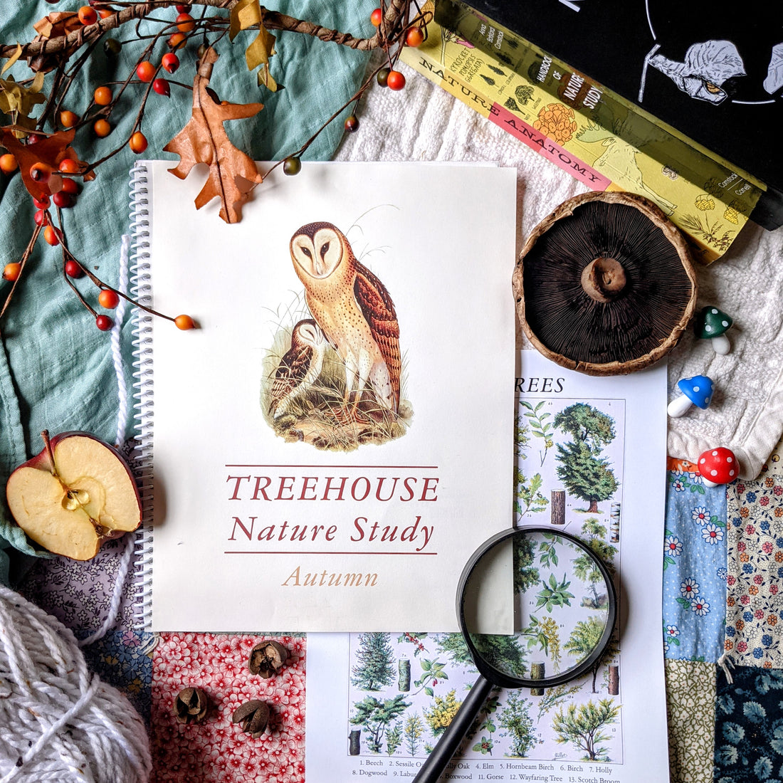 Treehouse Nature Study: Autumn (Small Group License)