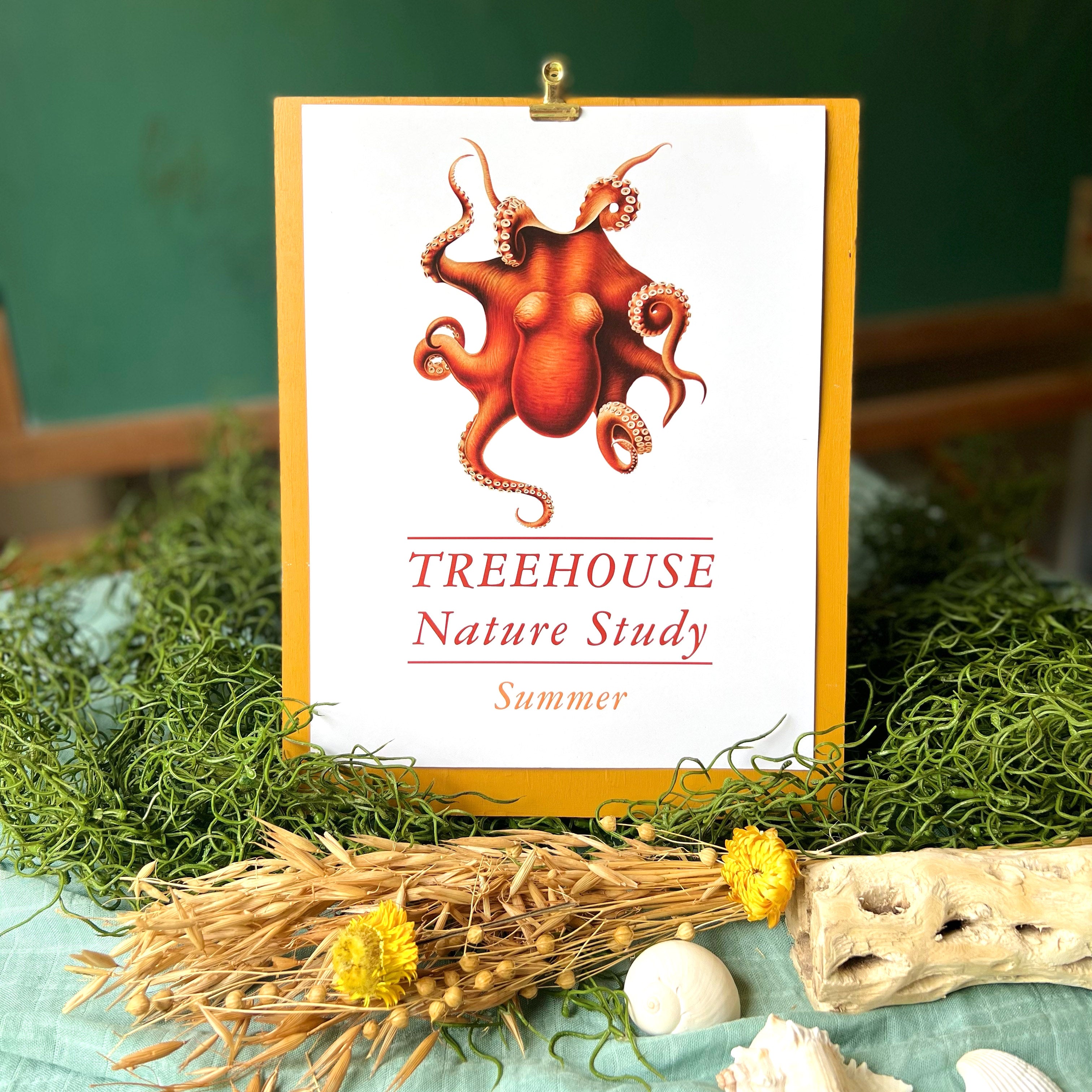 Treehouse Nature Study: Summer