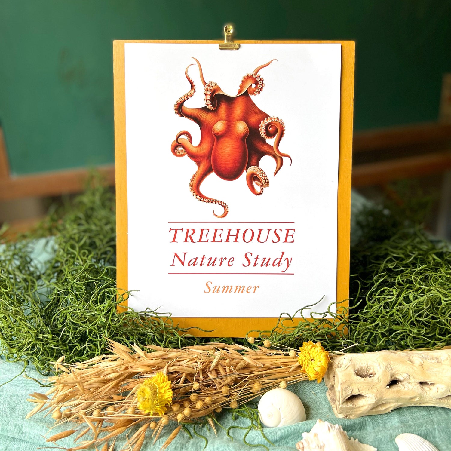 Treehouse Nature Study: Summer (Small Group License)