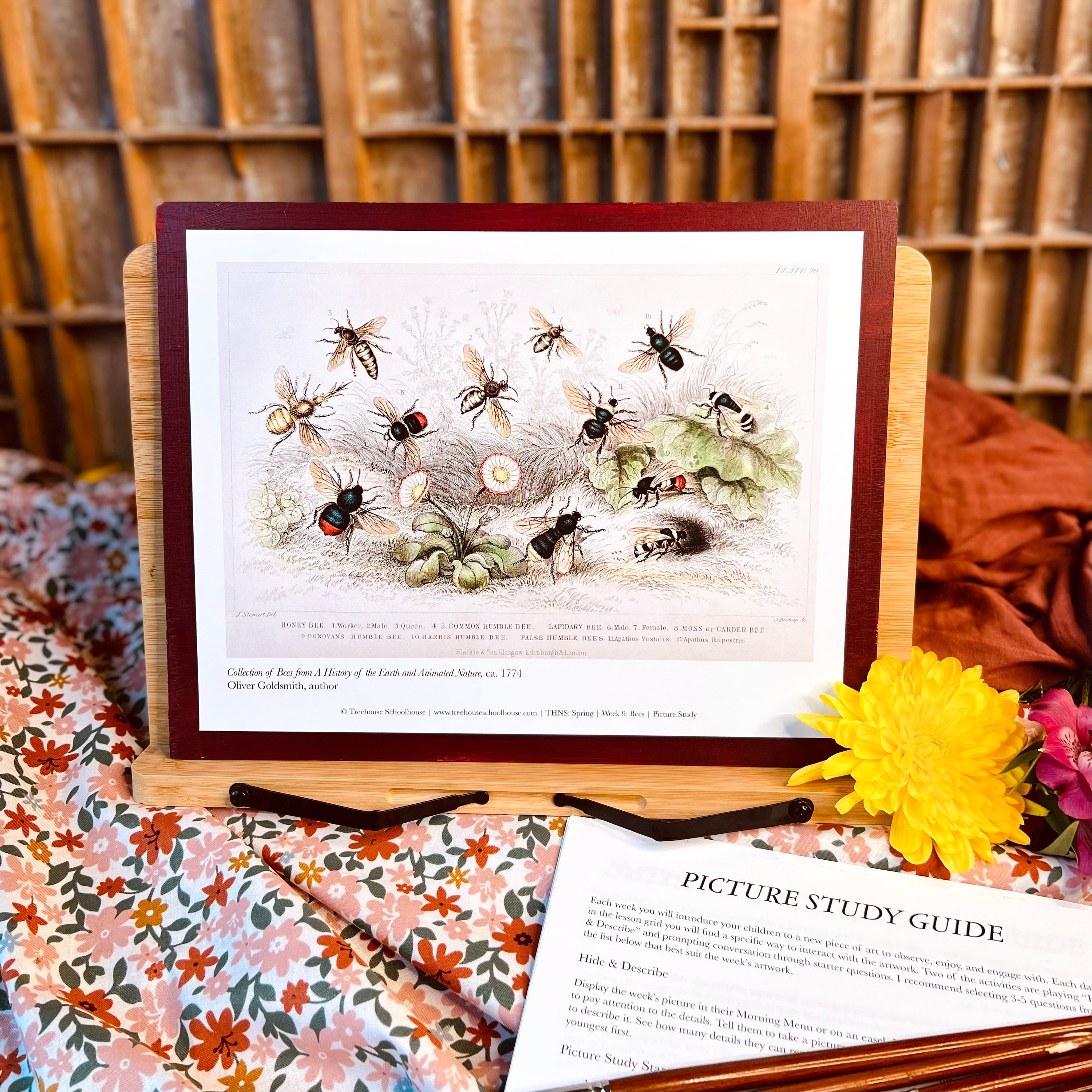 Treehouse Nature Study: Spring – Treehouse Schoolhouse