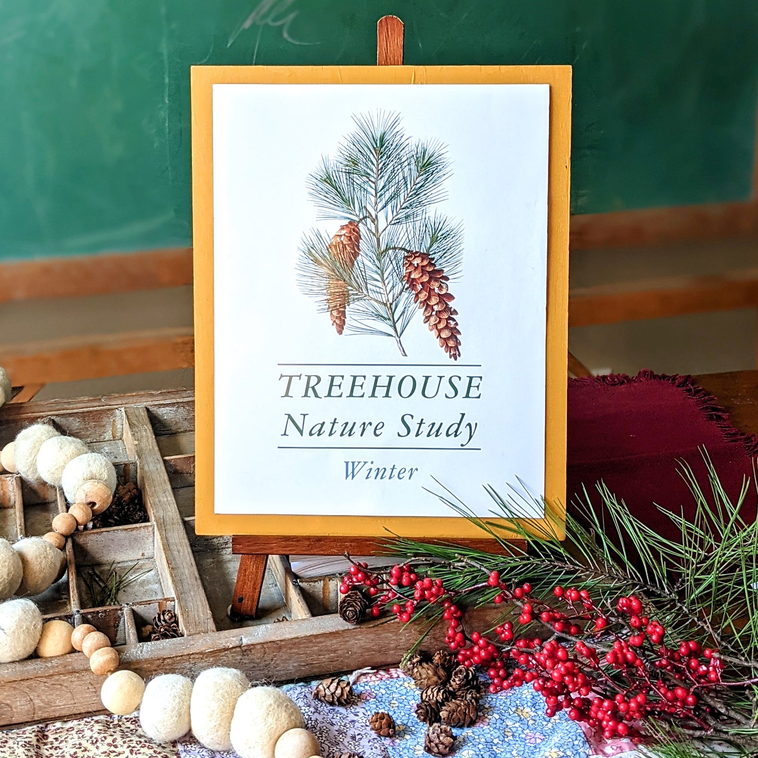Treehouse Nature Study: Winter