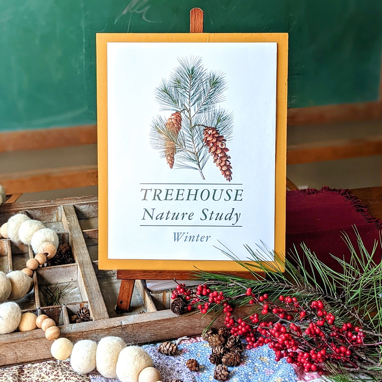 Treehouse Nature Study: Winter (Small Group License)