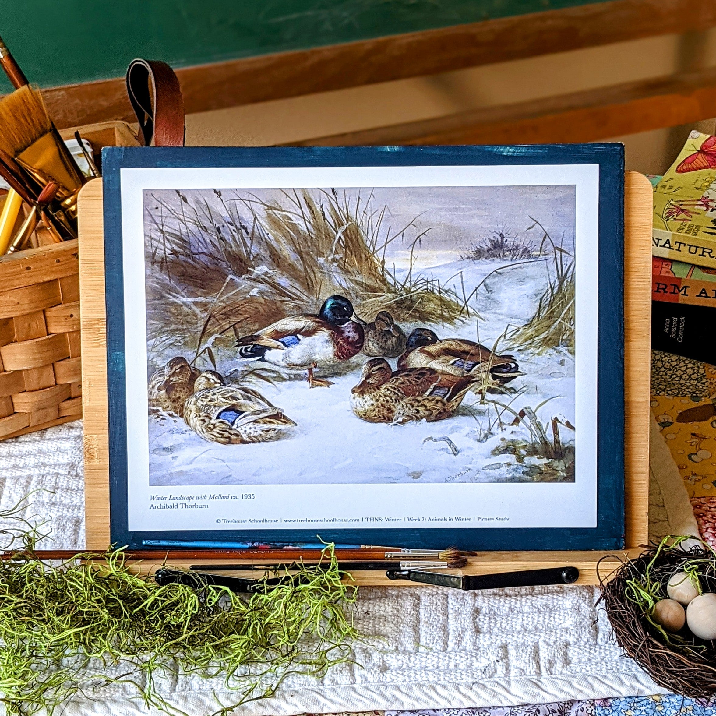 Treehouse Nature Study: Winter, Primary Years