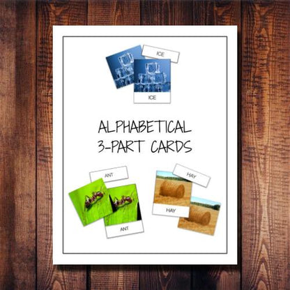 Alphabetical 3-Part Cards