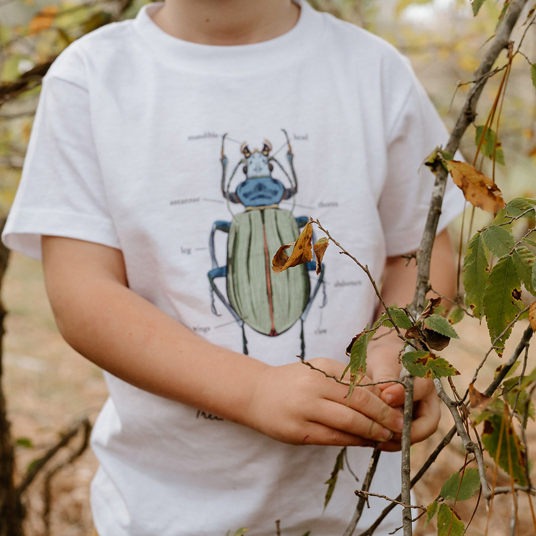 Toddler Beetle Anatomy T-Shirt