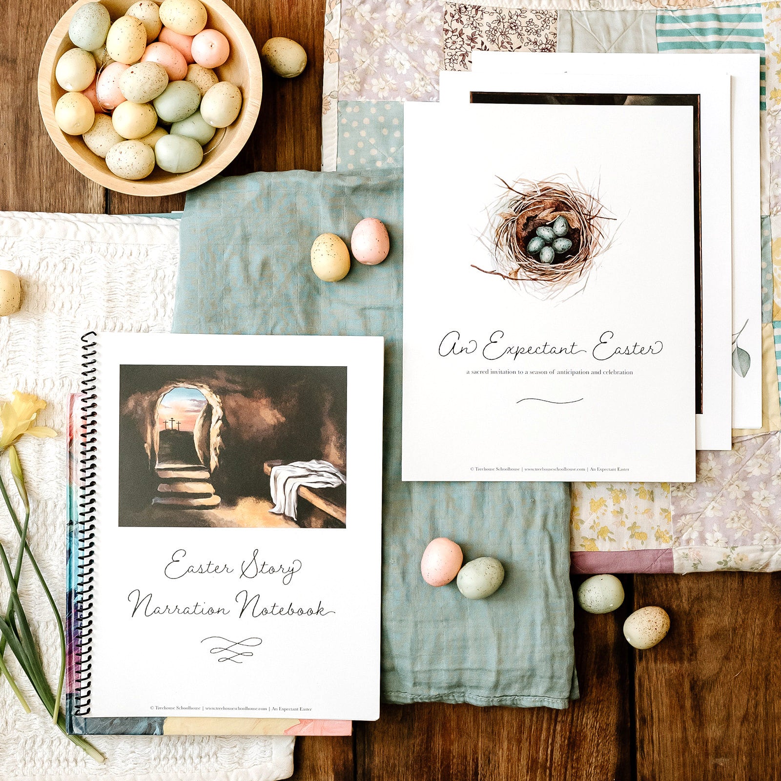 An Expectant Easter - Narration Notebook &amp; Student Sheets (Hard Copy)