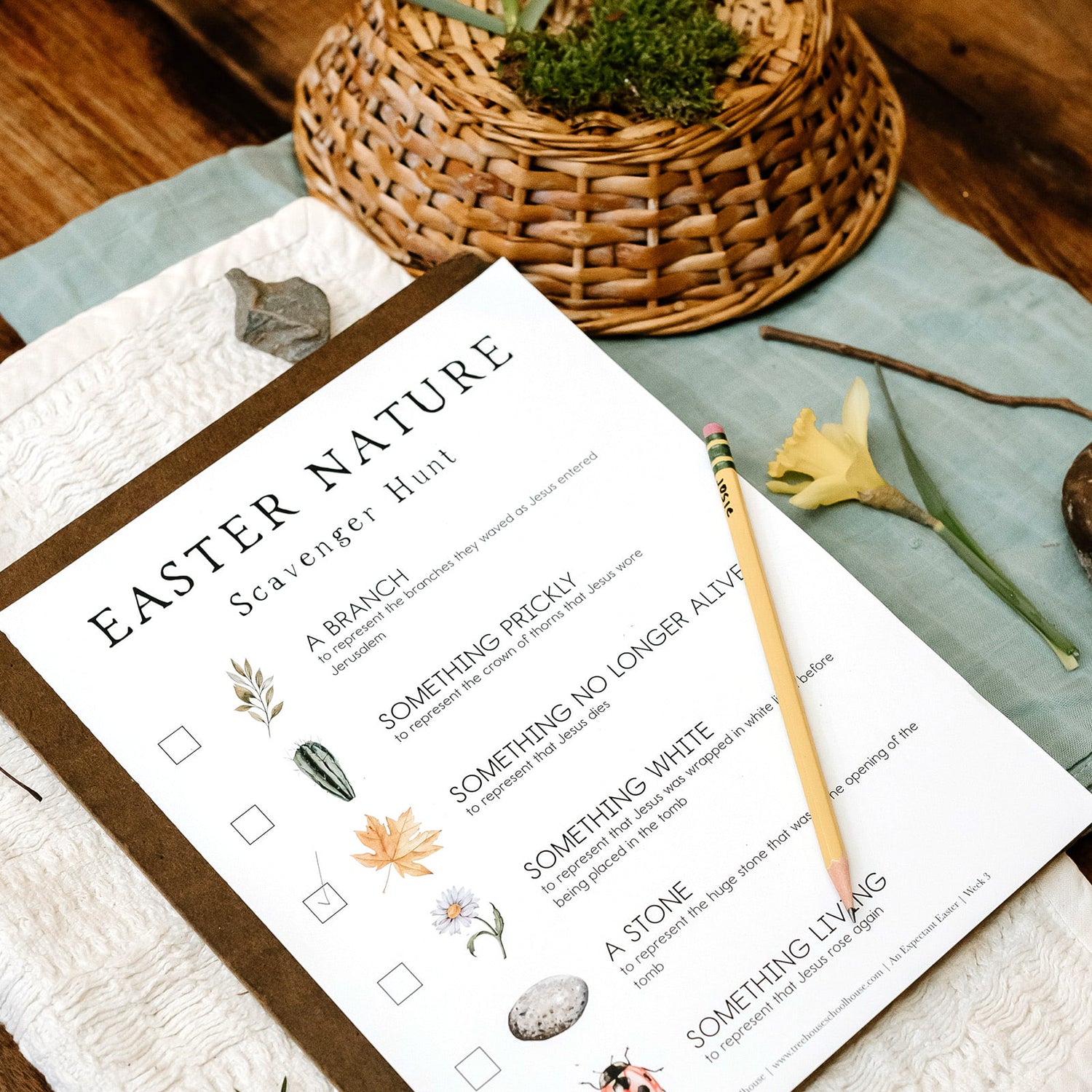 An Expectant Easter - Narration Notebook &amp; Student Sheets (Hard Copy)