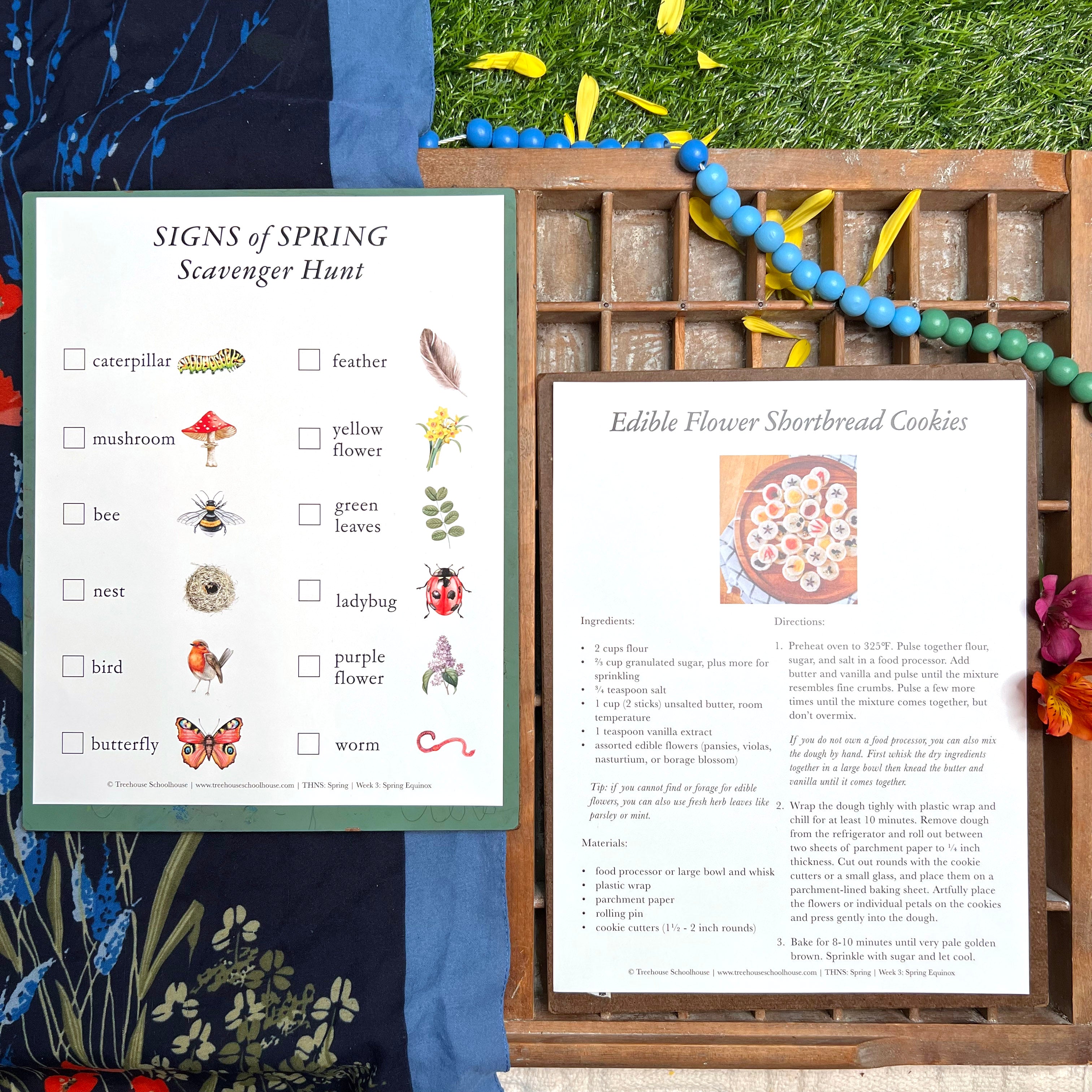 Treehouse Nature Study: Spring Student Sheets (Hard Copy)