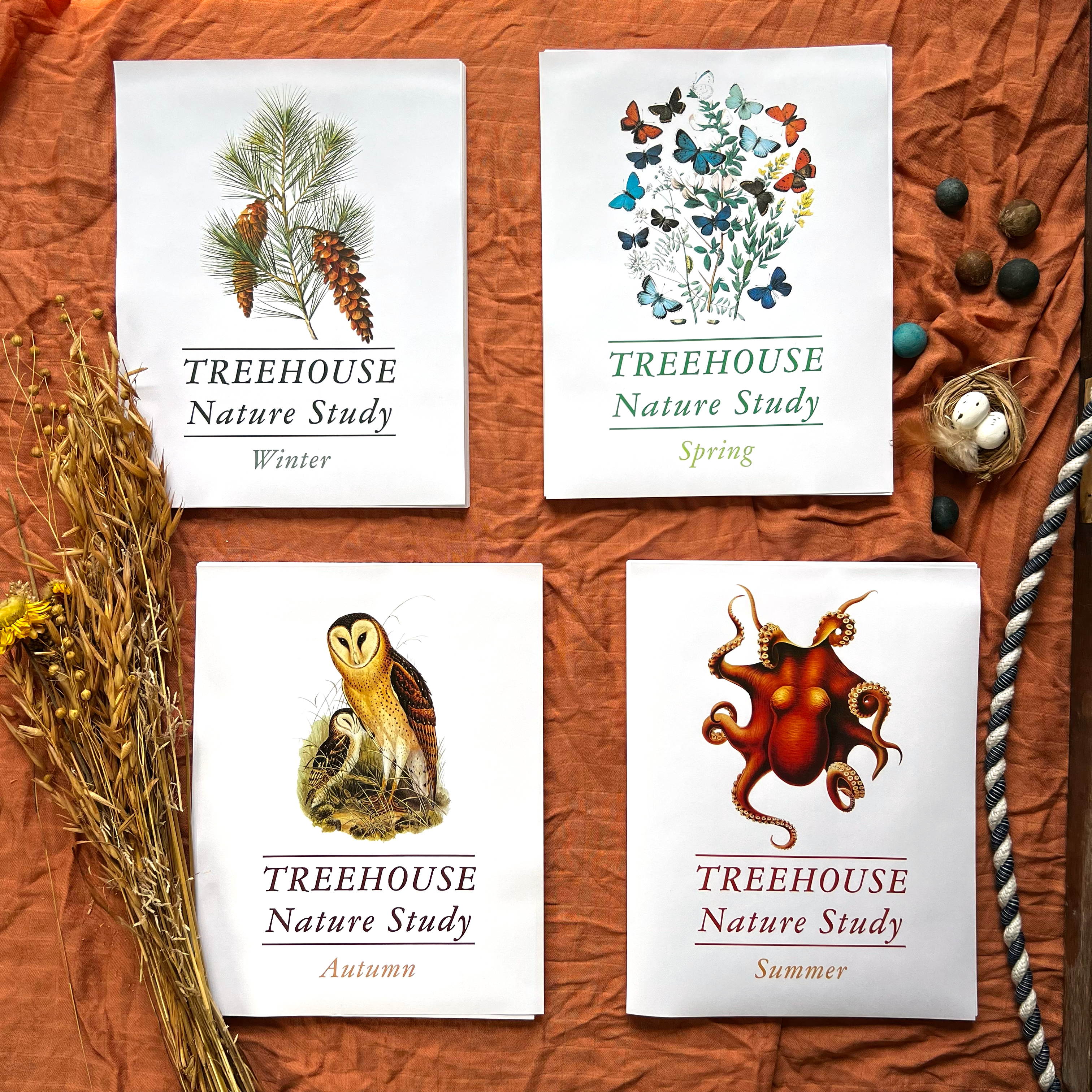 Treehouse Nature Study: Four Seasons Collection (Small Group License)