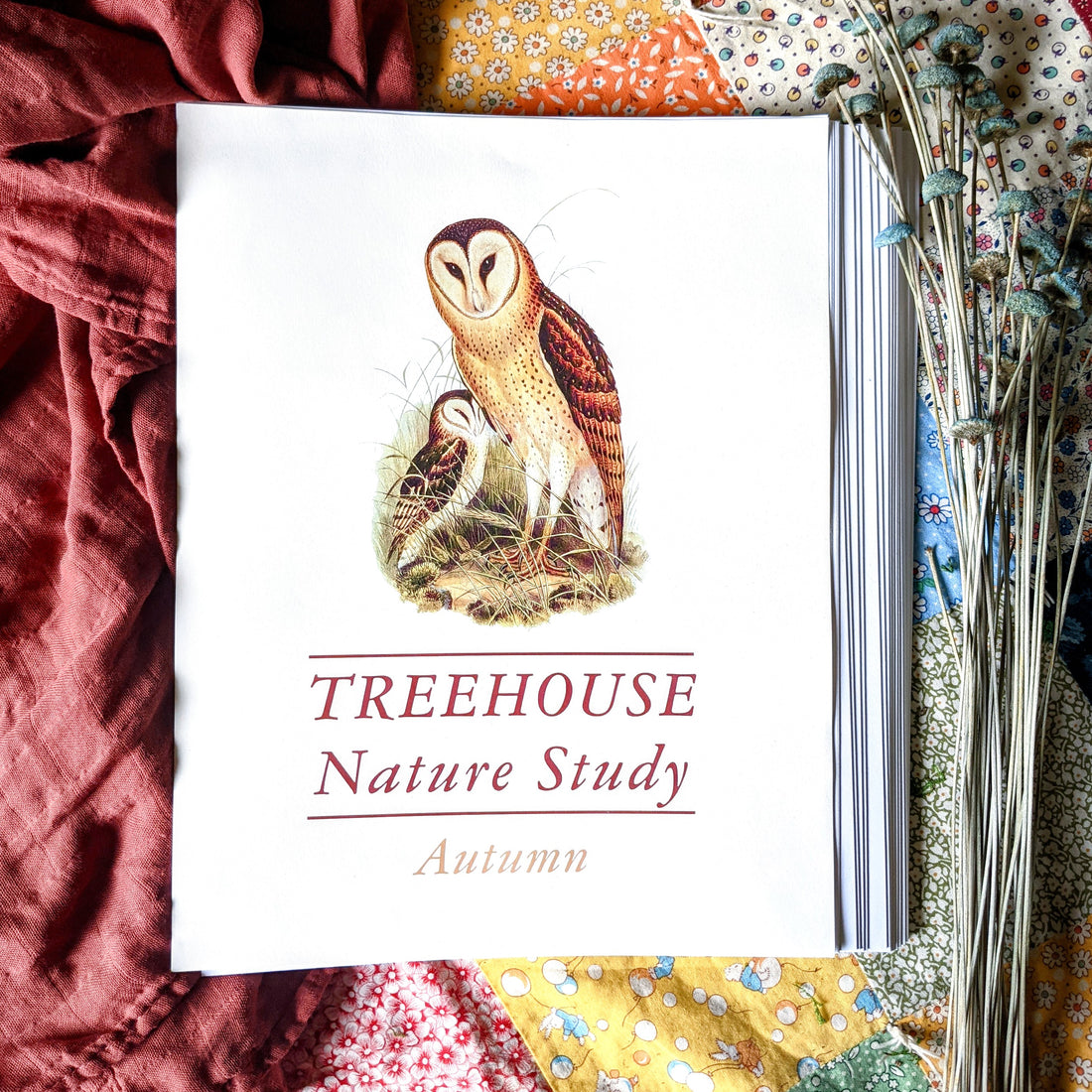 Treehouse Nature Study: Autumn Student Sheets (Hard Copy)