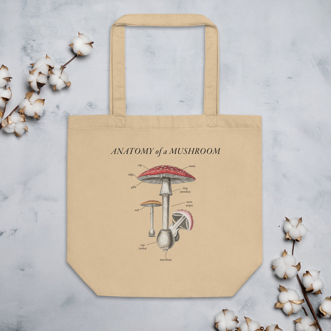 Mushroom Anatomy Tote Bag
