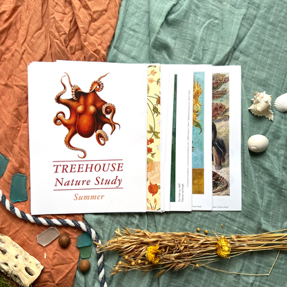 Treehouse Nature Study: Summer Student Sheets (Hard Copy)