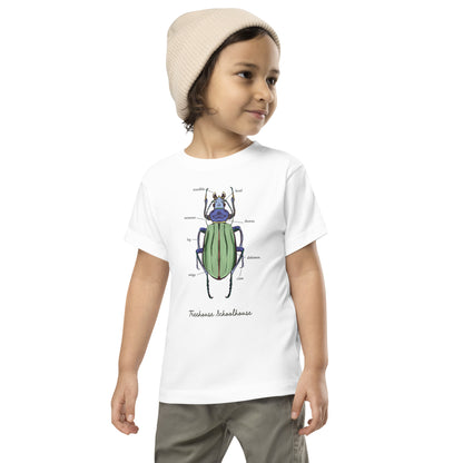 Toddler Beetle Anatomy T-Shirt